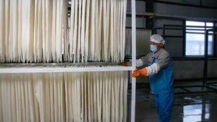 税务赋能，非遗“活”起来 延边税务助力非物质文化遗产传承与发展